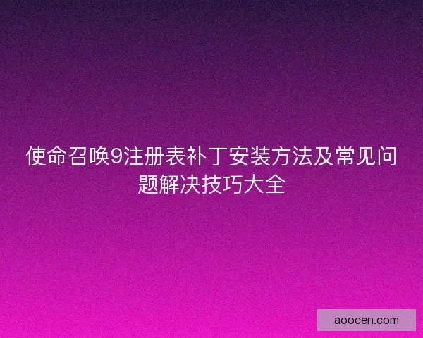 使命召唤9注册表补丁安装方法及常见问题解决技巧大全