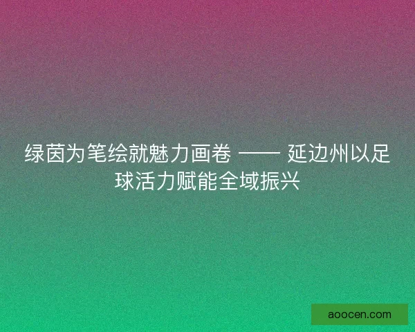 绿茵为笔绘就魅力画卷 —— 延边州以足球活力赋能全域振兴
